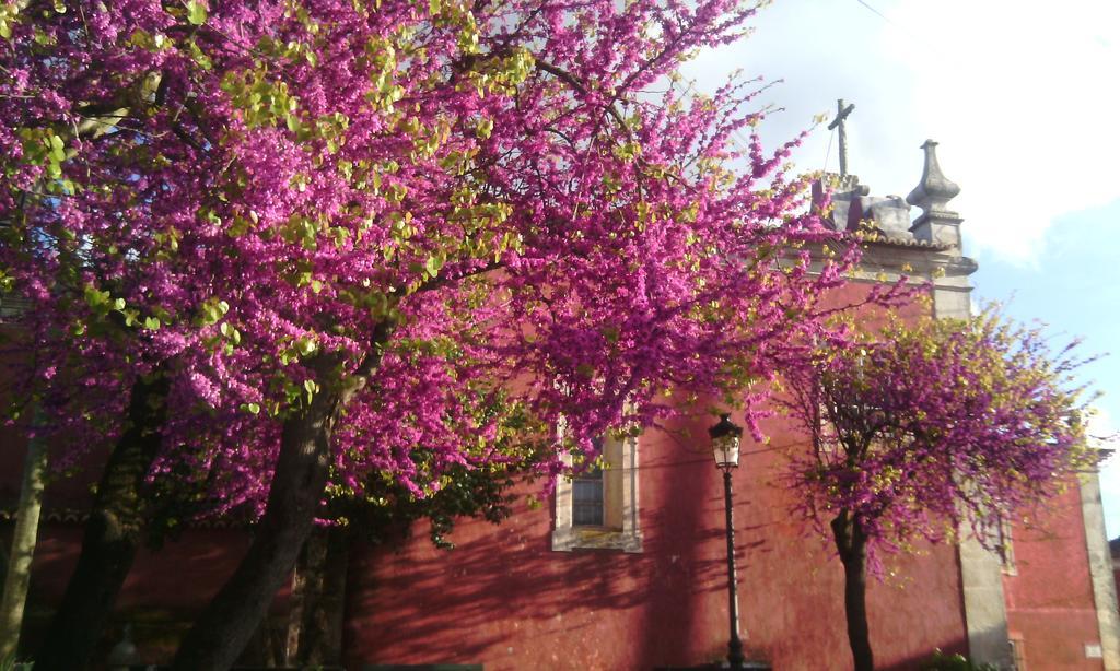托雷斯诺瓦斯Casa Dos Vargos住宿加早餐旅馆 外观 照片